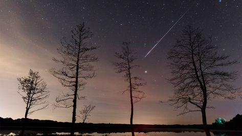 As Matthew explained in his post on Friday, this week is the peak of the annual Perseid meteor shower –... Space Treats, Leonid Meteor Shower, Perseid Meteor Shower, Moon Phase Calendar, Celestial Sphere, Thursday Evening, Light Pollution, Meteor Shower, 100 Years Ago