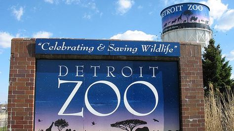 Detroit Zoo, Detroit History, Homeschool Field Trips, Michigan Girl, Senior Day, Saint Lawrence, Michigan History, Detroit Area, Fact Of The Day