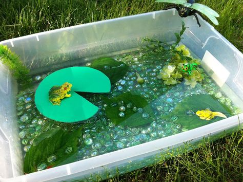 Frog Sensory Bin - fill the tub with water beads and add lili pads and frogs Sensory Tubs, Lifecycle Of A Frog, Mini Beasts, Miss Kindergarten, Frog Life, Frog Theme, Sand And Water Table, Water Tray, Sensory Ideas