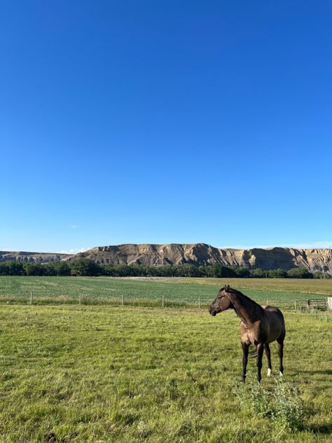 canada road trip aesthetic horses horse girl Alberta Canada Aesthetic, Alberta Aesthetic, Canada Countryside, Canada Farm, Alberta Prairie, Alberta Summer, Summer Cowgirl, Miss Canada, Canada Country