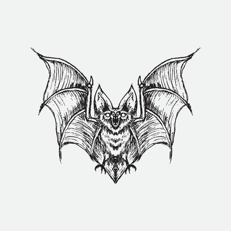 Bat Flash Tattoo, Bat Sketch, Bat Drawing, Bats Tattoo Design, Spiderman Tattoo, Vampire Drawings, Woodcut Tattoo, American Traditional Tattoo Ideas, Traditional Tattoo Ideas