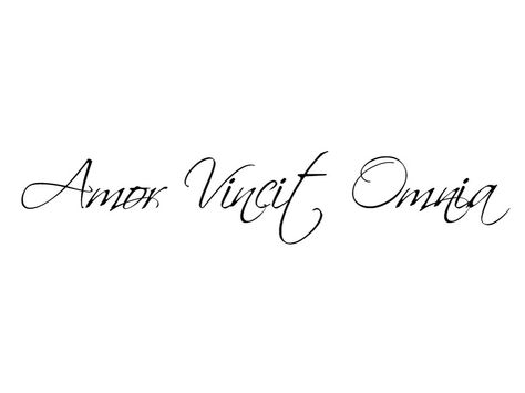 Amor Vincit Omnia - Love Conquers All Girlfriend Tattoos, Leo Constellation Tattoo, Leo Constellation, Latin Phrases, Love Conquers All, Constellation Tattoos, Black Flower, Piercing Tattoo, Love Tattoos