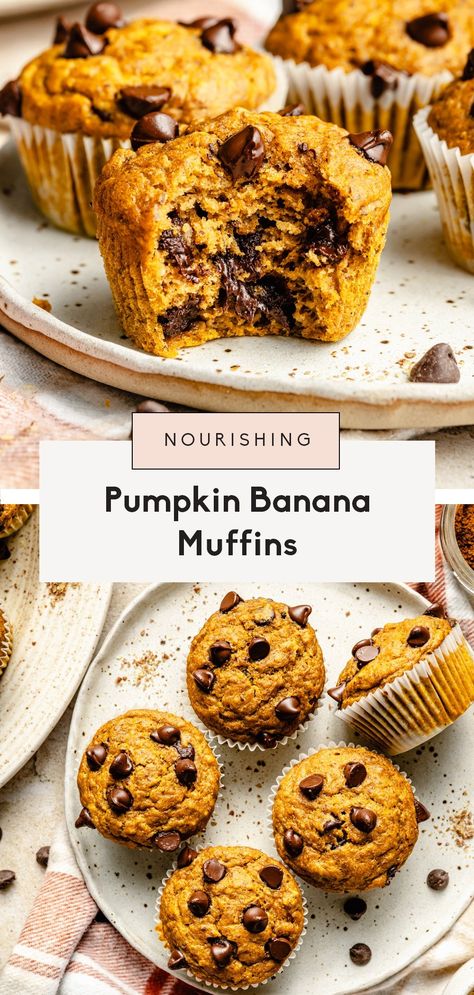 Banana Pumpkin Muffins with Chocolate Chips | Ambitious Kitchen Pumpkin Apple Sauce Muffins, Pumpkin Toddler Muffins, Pumpkin Flaxseed Muffins, Pumpkin Banana Protein Muffins, Pumpkin Banana Oatmeal Muffins, Leftover Banana Recipes Healthy, Banana Pumpkin Chocolate Chip Muffins, Pumpkin Banana Recipes, Pumpkin Chocolate Chip Muffins Healthy