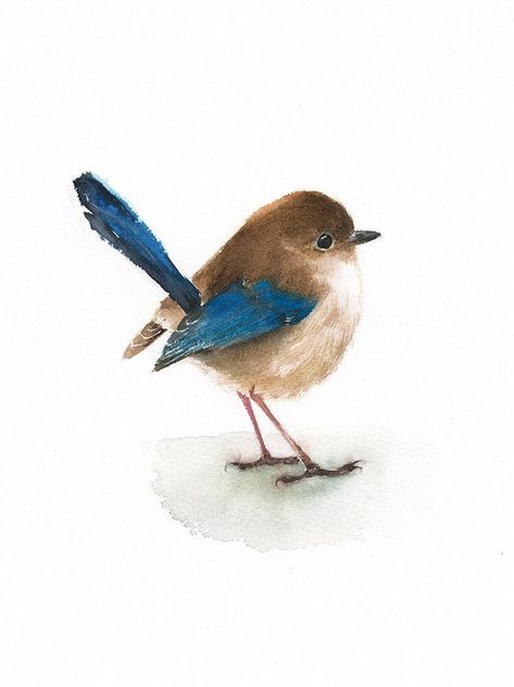 "This listing is for an archival print of my original watercolor painting of a little cute robin bird. Please choose the sizes from the drop menu. There are standard inches sizes and A-sizes also. Custom sizes are available too, please contact me for a quotation. Each print is giclee print with Epson Ultra Chrome pigment inks on archival acid- and lignin-free Fine Art Paper, which gives the vibrant colors and meets the most exacting requirements for age resistance. The print looks very much like New Zealand Illustration, Wren Watercolor, Watercolour Birds, Bird Watercolor Art, Watercolour Bird, Fairy Wren, Diy Watercolor Painting, Robin Bird, Watercolor Wall Art