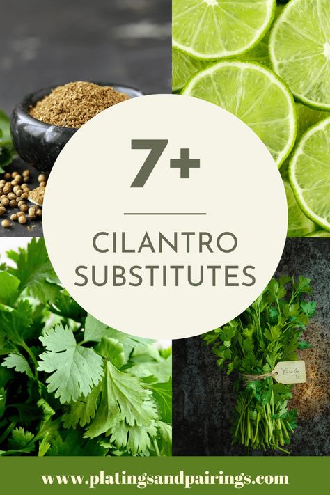 Cilantro, with its unique citrus notes, adds a brightness to many dishes. But what if you find yourself without? Swap it! Here’s 7+ great substitutes for cilantro. Substitute For Cilantro, Cilantro Substitute, Cilantro Seeds, Beautiful Food Photography, Thai Basil, Caraway Seeds, Cabbage Slaw, Coriander Seeds, Stir Fries