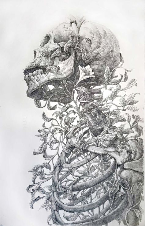 Vines and Flowers Intertwine with an Imposing Skeleton in an Elegant Graphite Drawing by Guno Park | Colossal Skeleton Drawings, Colossal Art, Skeleton Art, Graphite Drawings, Gcse Art, A Skull, 영감을 주는 캐릭터, Anatomy Art, Skull Art