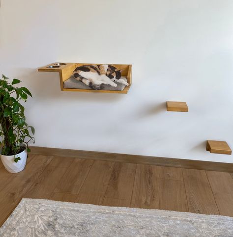 "➜This multifunctional cat bed and food rack is designed to ensure your pet's comfort and convenience. Thanks to the wooden wall shelves, your cats can sleep comfortably high up and feed easily from the food shelf compartments. It can be easily installed with its floating hanger and you don't need to drill any holes during installation.  ➜Available in brown, beige and gray for the cushion and walnut, oak and pine for the wood. Includes removable and washable cushions. An ideal choice for those w Cat Feeding Shelf, Floating Cat Shelves, Food Shelf, Wooden Wall Shelf, Shelf Hardware, Shelf Floating, Wooden Wall Shelves, Cat Shelves, Cots