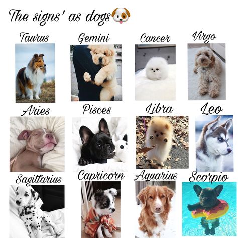 Mine is a frenchie!! I knew it! Its a dog that I have Zodia Pești, Dog Zodiac, Zodiac Signs Animals, Dogs Quotes, Zodiac Sign Fashion, Zodiac Signs Chart, Zodiac Signs Virgo, Zodiac Signs Sagittarius, Dog Quotes Funny