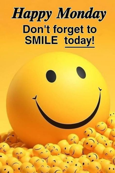 Pastor Quotes, Happy Friday Pictures, Happy Tuesday Morning, Happy Monday Images, Diwali Activities, Good Night Prayer Quotes, Good Morning Smiley, King Chair, Tenor Gif