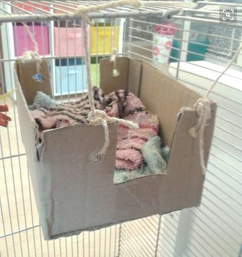 DIY Cardboard Box Hammock - petdiys.com Rat Cage Diy, Diy Hamster Toys, Diy Rat Toys, Parrot Care, Rat Cage Accessories, Guinea Pig Diy, Rat Hammock, Hamster Diy, Dumbo Rat