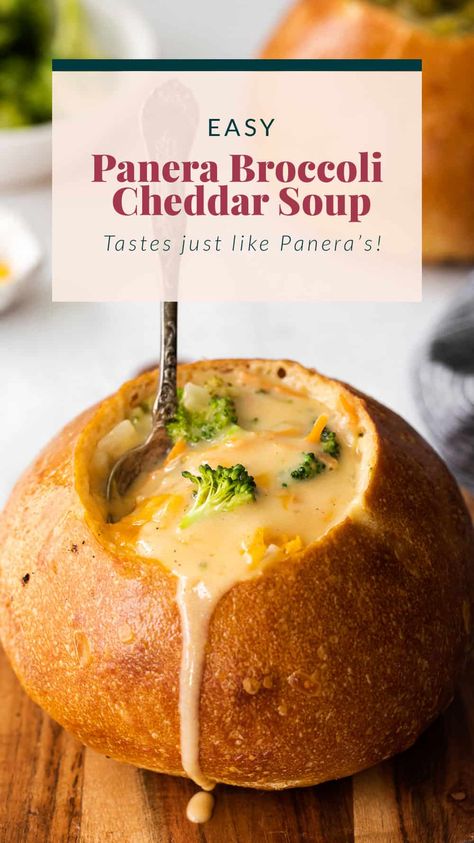 Copycat Panera Broccoli Cheddar Soup, Cleansing Recipes, Broccoli Cheddar Soup Recipe, Cheddar Soup Recipe, Copycat Panera, Broccoli Cheddar Soup, Easy Soup, Cheddar Soup, Star Food