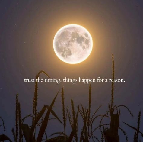 Spiritual Dp, Moon Quotes Deep, Quotes For Dp, Tiny Quotes, Witty Instagram Captions, One Liner Quotes, Lost Quotes, Moon Quotes, Magic Quotes