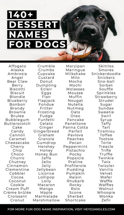 140+ Dreamy Dessert Names for Dogs - Hey, Djangles. Strawberry Name Ideas, Food Dog Names, Food Names Ideas, Food Names For Dogs, Tough Dog Names, Dessert Names, Cute Puppy Names, Dog Names Unique, Cute Pet Names