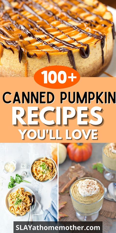 These delicious canned pumpkin recipes are perfect for Fall! Pumpkin Recipes Easy Healthy, Healthy Things To Make, Canned Pumpkin Recipes Easy, Easy Canned Pumpkin Recipes, Leftover Canned Pumpkin, Fall Pumpkin Recipes, Crockpot Dump Recipes, Pumpkin Dish, Canned Pumpkin Recipes