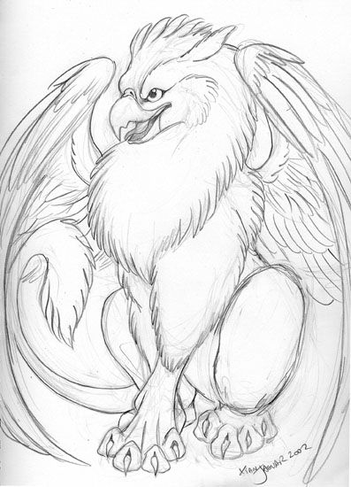 Griffin Sketch Griffin Sketch, Gryphon Tattoo, Griffin Drawing, Gargoyle Drawing, Griffin Mythical, Griffin Tattoo, Egyptian Drawings, Pencil Sketch Drawing, Sketch Tattoo Design