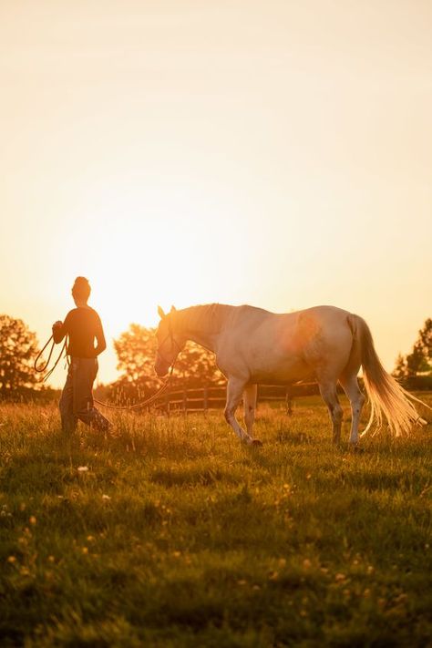 Sherbrooke Quebec, Fancy Outfit, Sunset Session, Sun Set, Green Grass, Lush Green, Equestrian, Lush, The Sun