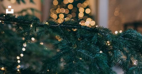 Thanks to @mougrapher for making this photo available freely on @unsplash 🎁 Christmas Wallpaper Tree, Aesthetic Christmas Wallpaper, Wallpaper Tree, Christmas Wallpaper Hd, Christmas Desktop Wallpaper, Christmas Tree Images, Christmas Tree Wallpaper, Christmas Background Images, Christmas Desktop