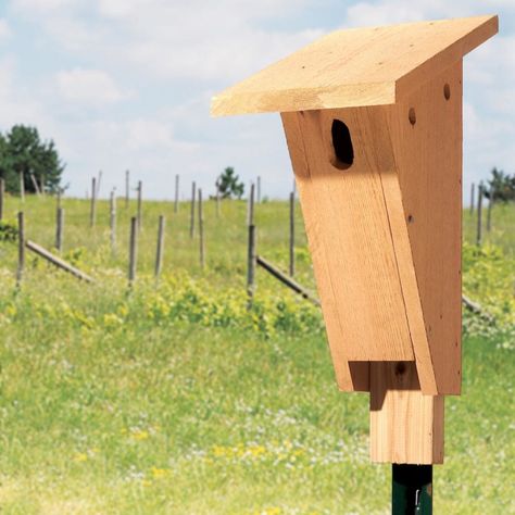 Build a Bluebird House in an Afternoon — The Family Handyman Blue Bird Houses Diy, Bluebird Houses, Bluebird House Plans, Diy Swing, Bluebird House, Cedar Boards, Bird House Plans, Herb Gardens, Bird House Kits