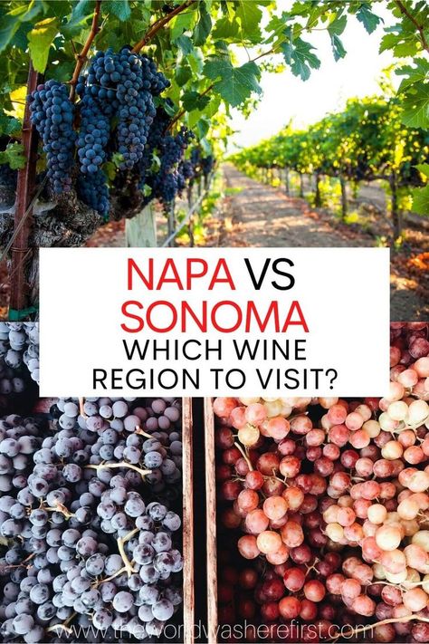 Can't decide whether to visit Napa vs Sonoma? Read this guide to find out which wine region is right for you! California Wine Country Vacation, Napa Wine Tasting, Country Vacation, Napa Valley Trip, Napa Trip, Napa Wine, Sonoma California, Napa California, California Wine Country