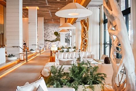 20 Of The World's Best Luxury Eco Hotels | We Are Travel Girls 1 Hotel South Beach, Meyer Davis, One Hotel, South Beach Hotels, Eco Hotel, 1 Hotel, Eco Luxury, Studio Interior Design, Hotel Interior Design