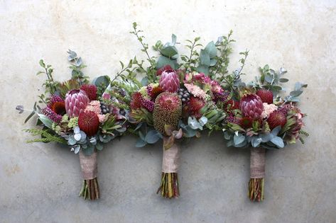 Swallows Nest Farm: February Wedding at Woodbridge Hill Hideaway Wedding Bridesmaid Bouquets, Protea Wedding, Protea Bouquet, Wildflower Wedding Bouquet, February Wedding, Flower Girl Bouquet, Australian Native Flowers, Rustic Wedding Bouquet, Flower Inspiration