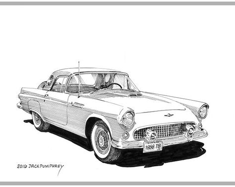 Thunderbird Animal, Cartoon Vehicles, 1956 Ford Thunderbird, Rolls Royce Car, Thunderbirds Are Go, Ink Pen Art, Car Prints, Cars Design, Car Drawing