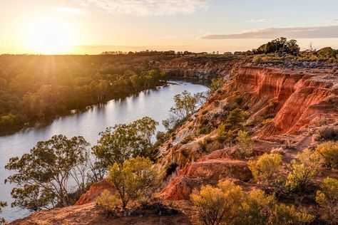 Murray River Walk - Headings Cliff Australian Road Trip, Murray River, Visit Melbourne, Australian Travel, Great River, Safari Park, River Walk, Long Trips, Culture Travel