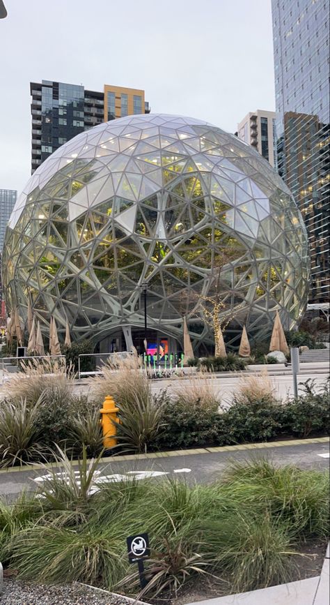 Seattle Amazon Sphere, Seattle Spheres, Amazon Spheres, Silverdale Washington, Washington Trip, Dragon Tattoo Sketch, Tattoo Sketch, Olympic National Park, Seattle Washington