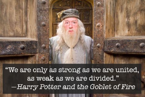 14 Albus Dumbledore Quotes To Comfort And Inspire You Today Albus Dumbledore Quotes, Hp Quotes, Dumbledore Quotes, Harry Potte, The Goblet Of Fire, Profound Quotes, The Sorcerer's Stone, Harry Potter Cake, Harry Potter Room