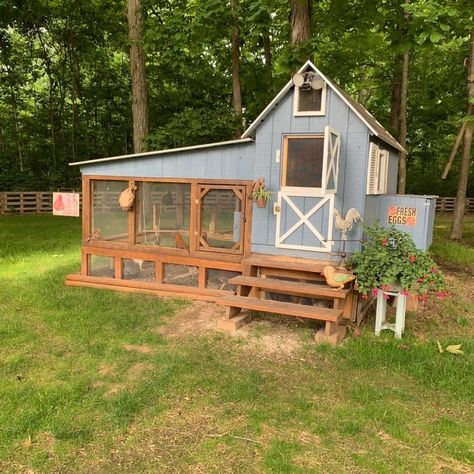 Chicken Huts Hen House, Chicken Coop Colors Scheme Hen House, Cutest Chicken Coop, Colored Chicken Coop, Yellow Chicken Coop, Chicken Gazebo, Nice Chicken Coop, Chicken Coop Colors Scheme Exterior, Serama Chicken Coop