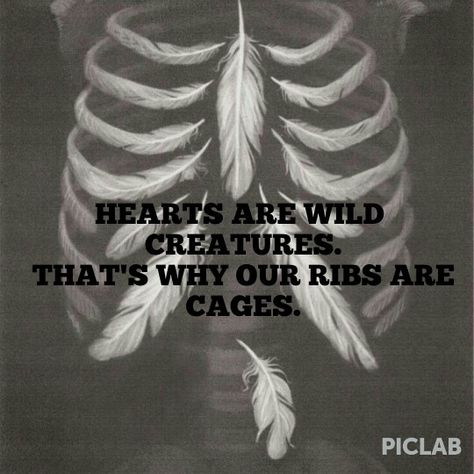 Hearts Are Wild Creatures, Wild Creatures, Rib Cage, Sofia, Feelings, Quotes