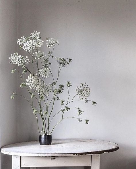 love this Arreglos Ikebana, Sogetsu Ikebana, Ikebana Flower Arrangement, Queen Anne's Lace, Queen Annes Lace, Deco Floral, Design Sponge, Floral Display, Cheap Decor