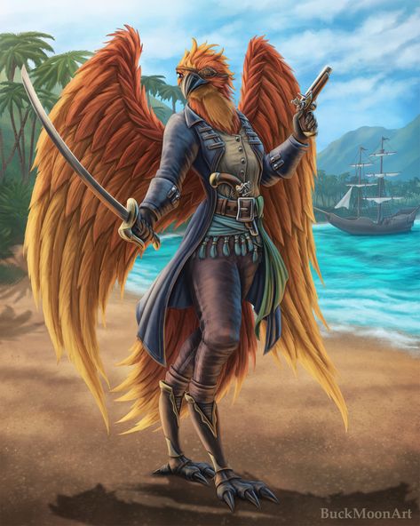 Aarakocra Pirate, Aarokakra Dnd, Phoenix Aarakocra, Parrot Aarakocra, Pirate D&d, Aarakocra Female, Pirate Dnd Character, Human Dnd Character, D&d Pirate