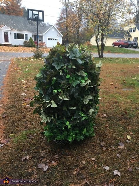 Bush Halloween Costume, Bush Costume, Tree Halloween Costume, Homemade Costumes For Kids, Fake Leaves, Homemade Costume, Costume Works, Bird Houses Diy, Halloween Costume Contest