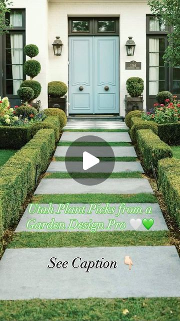 Utah Style & Design on Instagram: "For more than two decades, @ebwdesign has been crafting lush landscapes for clients throughout Utah and beyond with the focus on formal classic design.  To create these designs, she has a few favorites for formal Gardens:   💚 Boxwood - #boxwood is perfect for hedges. Nothing brings a sense of formality like these dense, small-leafed plants.   💚 Hydrangea - #limelighthydrangea is great because it doesn’t burn in the sun. Wayment also loves David, Austin’s Abraham Darby shrub Rose; it’s a lovely peachy pink. 🌸  💚 Espaliered Options - Espalier plants are beautiful screens. Wayment particularly enjoys #barlettpesrs and #anjoupears for amazing fruit and fall foliage.   💚 Accolade Elm - The #accoladeelm is a great choice for shade: it is uncommon, it shade Boxwood Landscaping Front Yard Entrance, Boxwood Hedge Front Yard, Boxwood Landscaping, Utah Style, Front Yards Curb Appeal, Boxwood Hedge, Limelight Hydrangea, Shrub Roses, Formal Gardens