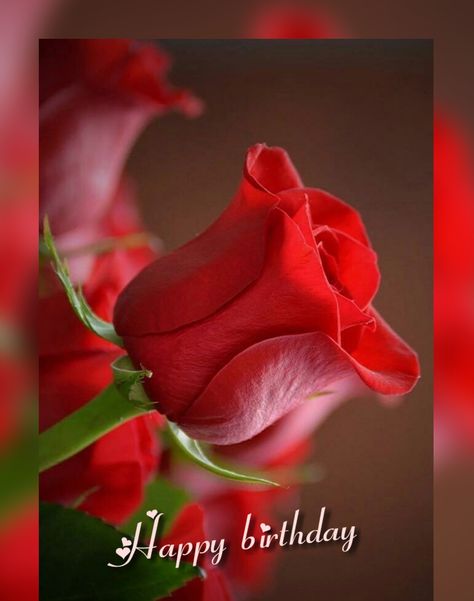 Roses,red,bday Happy Birthday Red Roses, Happy Birthday Rose, Happy Birthday Cake Images, Happy Birthday Wishes Cards, Roses Red, Birthday Flower, One Rose, Birthday Wishes Cards, Cake Images