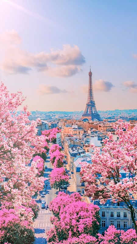 Pink Paris Wallpaper, Torre Eiffel Paris, Paris In Spring, Iphone Wallpaper Classy, Paris Wallpaper, Paris Pictures, Pretty Landscapes, Pink Trees, Pretty Photos