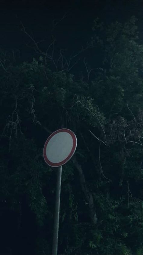 road sign on the background of poplars on the main road of Petropavlovsk-Kamchatsky Summer Night Photos, Sign Photography, Road Sign, Road Signs, Summer Night, Night Photography, Phone Backgrounds, Summer Nights, Small Town