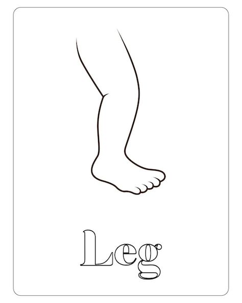 Parts Of Body Drawing, Human Parts Drawing, Human Legs Drawing, Body Worksheets For Preschool, Body Parts Drawing, Body Parts For Kids Activities, Parts Of The Body For Kids, My Body Kindergarten Worksheets, Leg Drawing