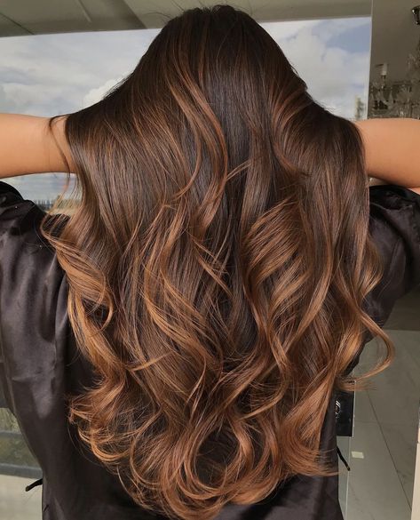 Brown Hair And Caramel Balayage, Sun Kiss Brown Hair, Chestnut Bayalage Brunette, Brunette Hair Color With Highlights Caramel, Dark Brown Hair With Honey Balayage, Caramel Highlights In Brown Hair, Hazelnut Brown Balayage, Dark Brown Hair Caramel Balayage, Chestnut Brown Hair Balayage