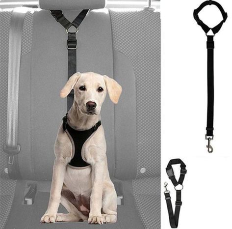 Dog Car Harness, Dog Car Seat Belt, Car Harness, Belt Harness, Dog Seat Belt, Cat Seat, Dog Seat, Pet Car Seat, Dog Car Seats