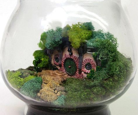 Bring the Shire into your humble abode with the Lord Of The Rings Hobbit terrarium. This lovely handmade item is small enough to fit just about anywhere and gives LOTR fans a chance to gaze at the picturesque environment of our favorite Hobbits. Hobbit Terrarium, Movie Miniatures, Aquaponics Aquarium, Indoor Aquaponics, Aquaponics Kit, Bag End, Seed Starter Kit, Aquaponic Gardening, Seed Starter