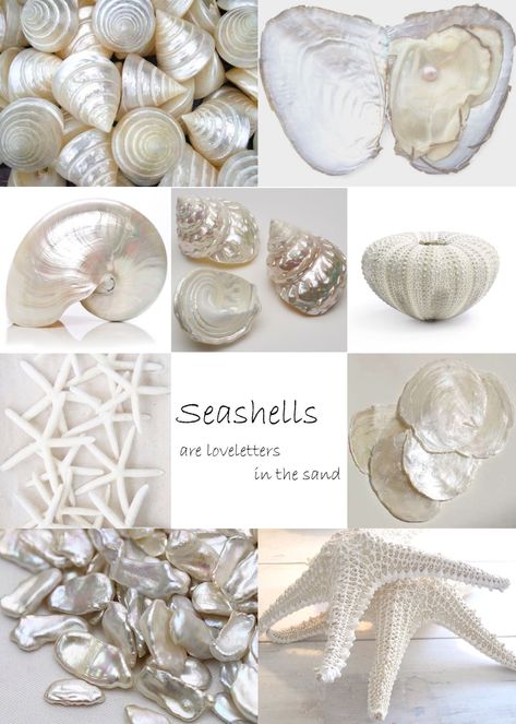 Pearl Inspiration Board, Sea Shell Mood Board, Shell Collage, Mood Board Fashion Inspiration, Pearls Photography, Creative Area, Flower Graphic Design, Dream Wedding Decorations, Showroom Interior Design