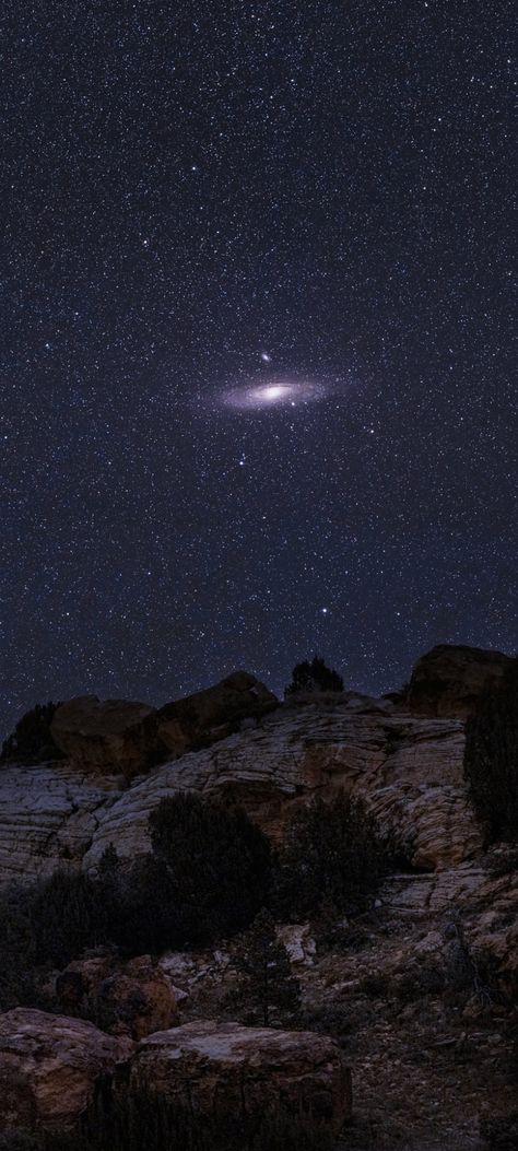 M-31 Andromeda Galaxy riding over Mesa-New Mexico by Andrew Fryhover Cropped mobile wallpaper 1080x2400 Andromeda Galaxy Wallpapers, F1 Wallpaper, F1 Wallpaper Hd, Andromeda Galaxy, Nikola Tesla, Night Owl, Space And Astronomy, Interstellar, Starry Sky