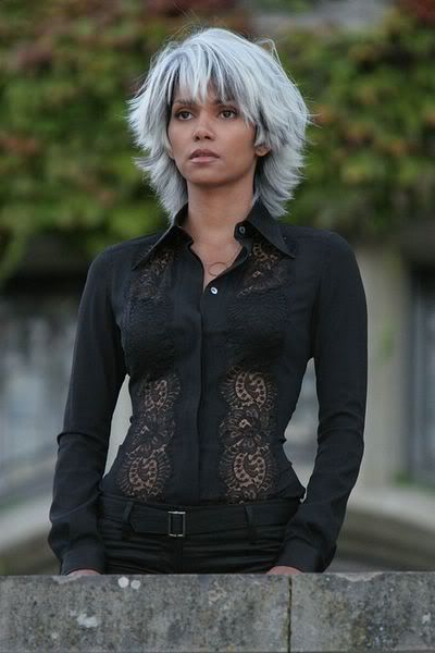 Halle Berry Storm, Hally Berry, X Men Storm, Hairstyle Gallery, Halle Berry, Xmen, Grey Hair, Silver Hair, White Hair