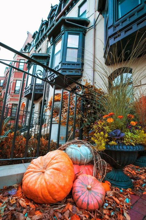 Watch Boston brownstones light up with Jack-‘o-lanterns as the spooky season creeps up in Boston. With Salem just outside the city, dress up as your favorite character and join the annual Haunted Happenings throughout the Halloween season. Or bring your family to LEGOLAND for Brick-or-Treating. 

The spooky fun is never-ending! Things To Do On Halloween, Boston Brownstone, Museum Of Science, Halloween Events, Boston Things To Do, Fall Getaways, Event Activities, Halloween Event, City Dress