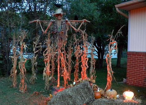 Pumpkin Patch ideas needed - Page 3 Pumpkin Patch Ideas, Haunted Pumpkin Patch, Halloween Yard Displays, Halloween Outside, Creepy Pumpkin, Patch Ideas, Halloween Props Diy, Halloween Scarecrow, Halloween Decorations Diy Outdoor