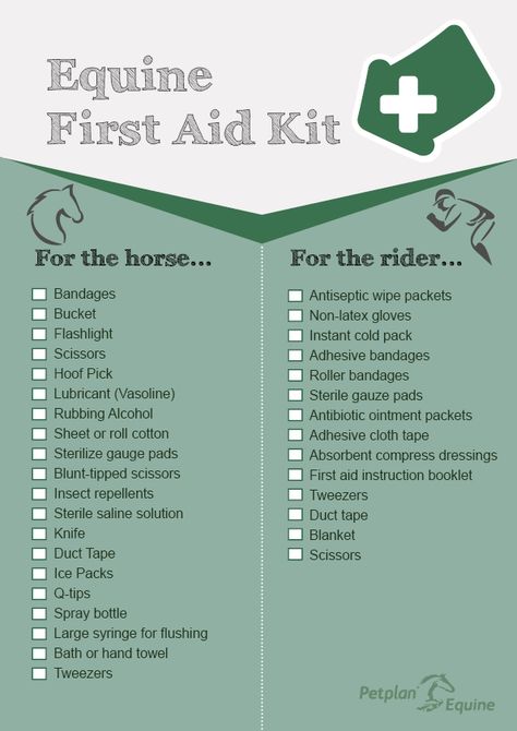 Horse Buying Checklist, First Horse Checklist, Horse First Aid Kit, First Aid Kit Checklist, Diy First Aid Kit, First Aid For Kids, Healthy Horses, Horse Farm Ideas, Vet Medicine