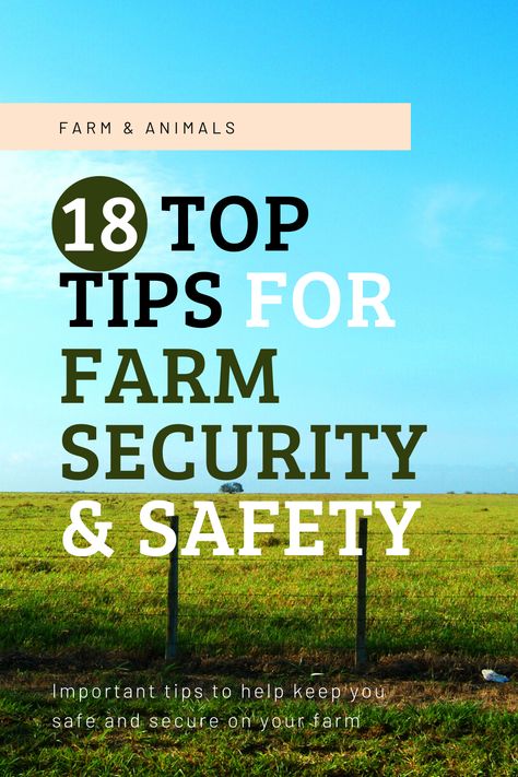 Homestead Security, Equine Property, Property Security, Dream Homestead, Small Homestead, Farm Security, Starting A Farm, Hobby Farming, Agriculture Business