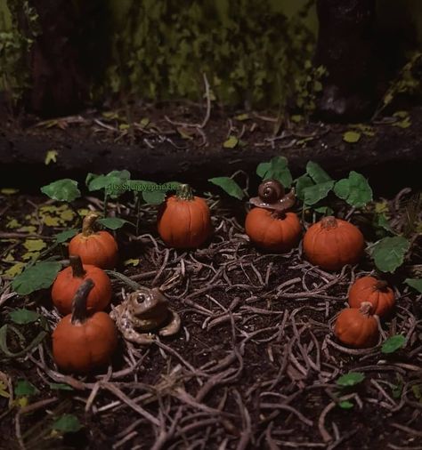 Miniature Pumpkin Patch, Pumpkin Patch Garden, Dollhouse Terrarium, Halloween Villages, October Pumpkins, Terrarium Fairy Garden, Polymer Clay Cute, Garden Dollhouse, Halloween Fairy Garden